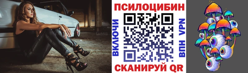 KRAKEN как зайти  Кувшиново  дарк нет формула  Галлюциногенные грибы мицелий 